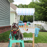 Frenchie Duo Reversible Harness - Frozen Frenzy