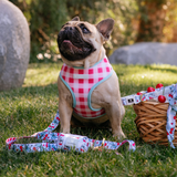 Frenchie Duo Reversible Harness - Cherries Blue