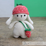 Ilse Rabbit DIY Crochet Kit