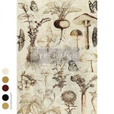 Botanist’s Field Notes A3 Decoupage Fiber