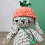 Frank Rabbit DIY Crochet Kit