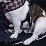 Frenchie Duo Reversible Harness - Black
