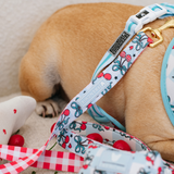 Frenchie Comfort Leash - Cherries Blue