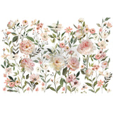 Blush Harmony transfer
