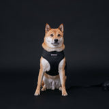 Frenchie Duo Reversible Harness - Black