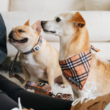 Frenchie Cooling Bandana - Tan Tartan