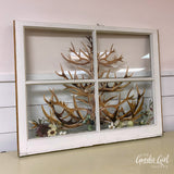 Vintage Window w/ Transfer Design WorkShoppe