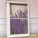 Vintage Window w/ Transfer Design WorkShoppe