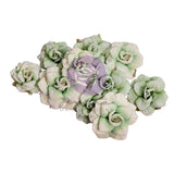 The Home Baker Collection Flowers - Mint Chip Roses