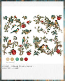 Rosette Aviary transfer