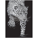 Feline Gaze decoupage fiber paper