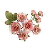 Homegrown Collection Flowers – Garden Rose Blush
