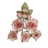 Homegrown Collection Flowers – Garden Rose Blush
