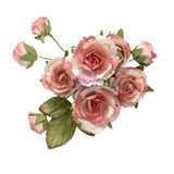 Homegrown Collection Flowers – Garden Rose Blush