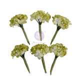 Homegrown Collection Flowers – Garden Hydrangea Mist