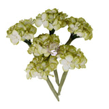 Homegrown Collection Flowers – Garden Hydrangea Mist