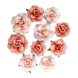 Homegrown Collection Flowers – Blush Harvest