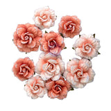 Homegrown Collection Flowers – Blush Harvest