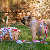 Frenchie Comfort Leash - Cherries Blue