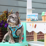 Frenchie Duo Reversible Harness - Frozen Frenzy