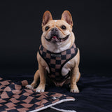 Frenchie Duo Reversible Harness - Black
