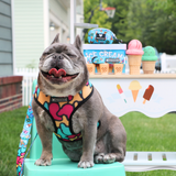 Frenchie Duo Reversible Harness - Frozen Frenzy