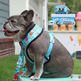 Frenchie Duo Reversible Harness - Frozen Frenzy