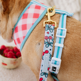 Frenchie Comfort Leash - Cherries Blue