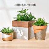 Martha Stewart Multi-Surface Metallic Acrylic Paint 8 oz