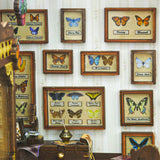 DIY Book Nook Kit: Butterfly Workshop
