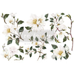 White Magnolia middy transfer