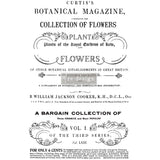 Botanical Magazine transfer