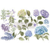 Mystic Hydrangea mini transfer