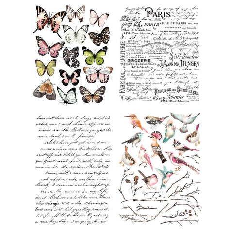 Parisian Butterflies transfer