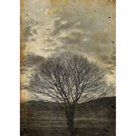 Sepia Tree decoupage paper