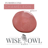 Wise Owl Glaze Pint