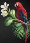 Parrot decoupage paper